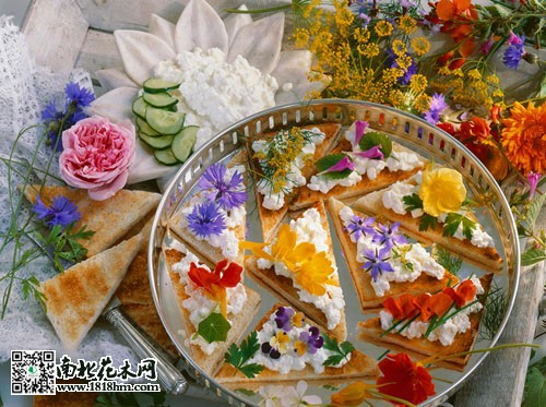 可食用花卉的多用途与文化(图2)