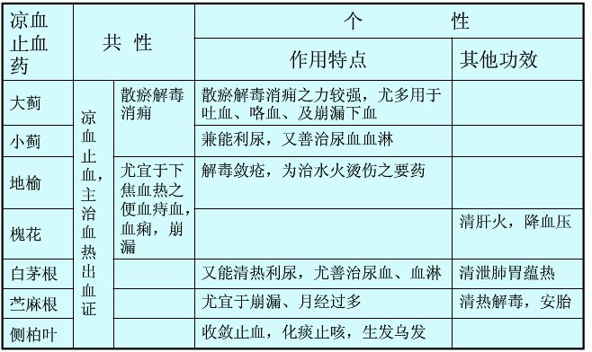 侧柏叶多重健康益处解析，中医传统药物功效揭秘(图2)