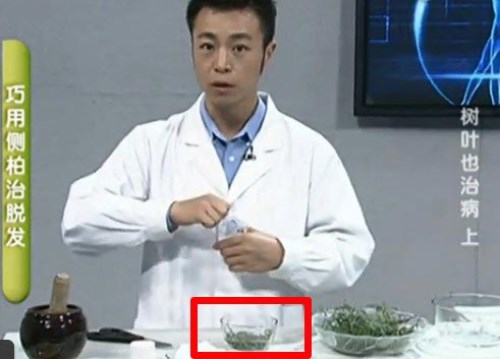侧柏叶多重健康益处解析，中医传统药物功效揭秘(图3)
