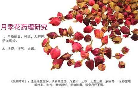 月季花的药用价值与美容功效解析(图2)