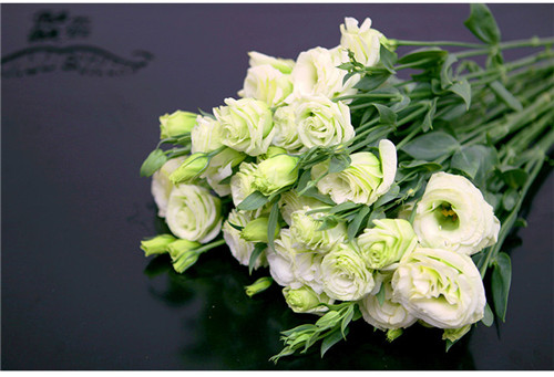 6月盛开的花卉有哪些？常见种类盘点(图4)