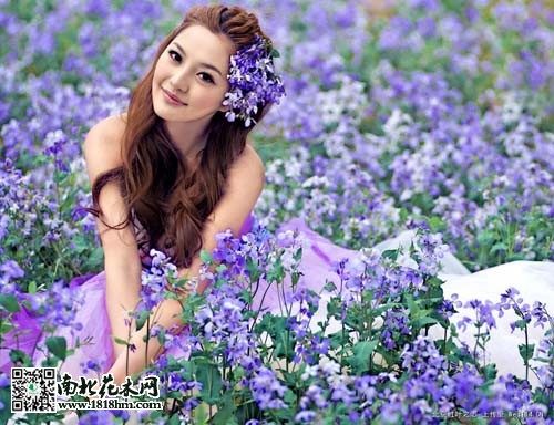 生命与自然之美：二月兰与我的生日回忆