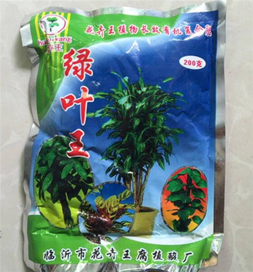 花卉施肥技巧：有机无机肥料选择与时间把控(图1)