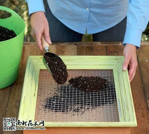 多肉植物上墙步骤详解：打造立体绿植墙(图3)
