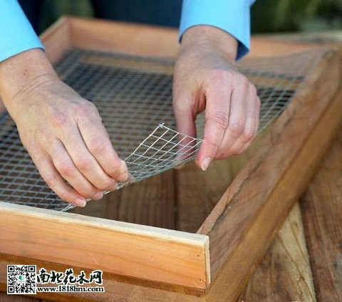 多肉植物上墙步骤详解：打造立体绿植墙(图2)