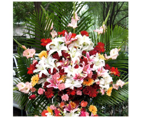 乔迁花篮送礼讲究，花型选择与寓意象征全解析(图2)