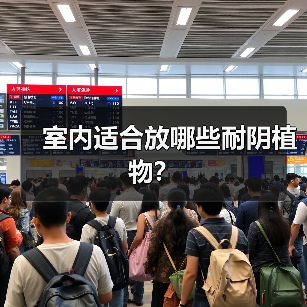 室内适合放哪些耐阴植物？（图2）