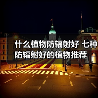 什么植物防辐射好 七种防辐射好的植物推荐（图1）