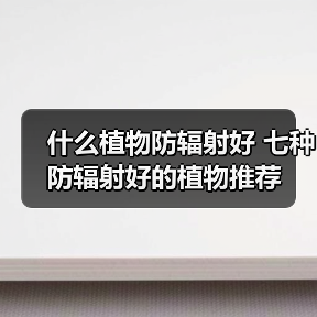 什么植物防辐射好 七种防辐射好的植物推荐（图3）