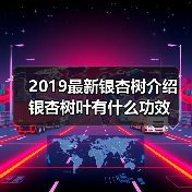 2019最新银杏树介绍 银杏树叶有什么功效（图2）