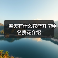 春天有什么花盛开 7种名贵花介绍（图2）
