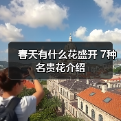 春天有什么花盛开 7种名贵花介绍（图1）