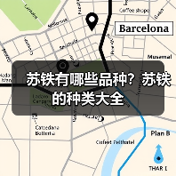 苏铁有哪些品种？苏铁的种类大全（图1）