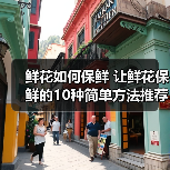 鲜花如何保鲜 让鲜花保鲜的10种简单方法推荐（图1）