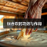 银合欢的功效与作用（图1）