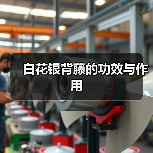 白花银背藤的功效与作用（图4）