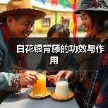 白花银背藤的功效与作用（图2）