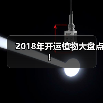 2018年开运植物大盘点！（图4）