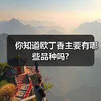 你知道欧丁香主要有哪些品种吗?（图4）