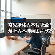 常见绿化乔木有哪些？落叶乔木种类图片欣赏（图1）
