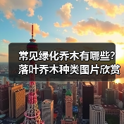 常见绿化乔木有哪些？落叶乔木种类图片欣赏（图3）
