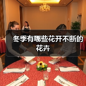 冬季有哪些花开不断的花卉（图3）