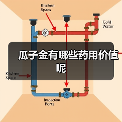 瓜子金有哪些药用价值呢（图1）