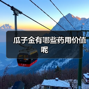 瓜子金有哪些药用价值呢（图3）