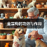 金露梅的功效与作用（图2）