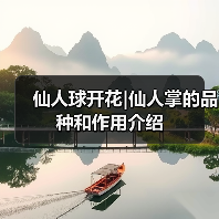 仙人球开花|仙人掌的品种和作用介绍（图2）