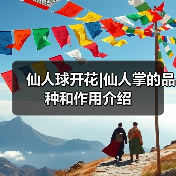 仙人球开花|仙人掌的品种和作用介绍（图3）