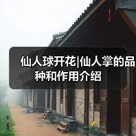 仙人球开花|仙人掌的品种和作用介绍（图4）