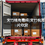 夹竹桃有毒吗|夹竹桃图片欣赏（图1）