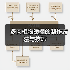 多肉植物暖棚的制作方法与技巧（图4）
