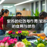 紫苏的功效与作用|紫苏的食用与禁忌（图1）