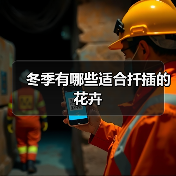 冬季有哪些适合扦插的花卉（图3）