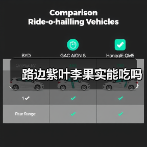路边紫叶李果实能吃吗（图1）