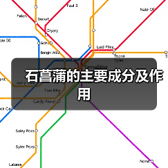 石菖蒲的主要成分及作用（图4）