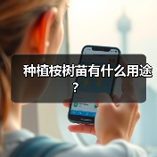 种植桉树苗有什么用途？（图1）