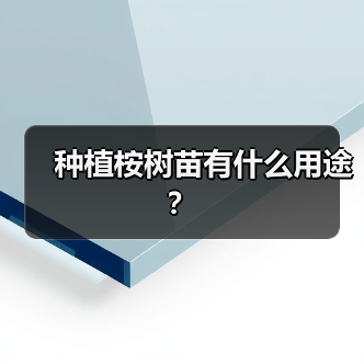 种植桉树苗有什么用途？（图4）