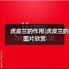 虎皮兰的作用|虎皮兰的图片欣赏（图1）