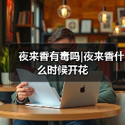 夜来香有毒吗|夜来香什么时候开花（图4）
