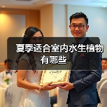 夏季适合室内水生植物有哪些（图1）