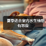 夏季适合室内水生植物有哪些（图4）