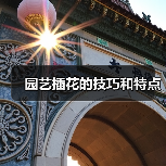 园艺插花的技巧和特点（图2）