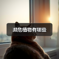 濒危植物有哪些（图2）