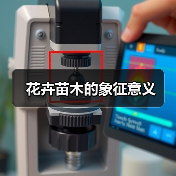 花卉苗木的象征意义（图1）