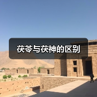 茯苓与茯神的区别（图2）