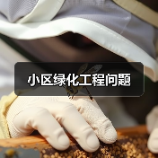 小区绿化工程问题（图4）