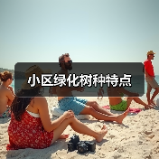 小区绿化树种特点（图3）